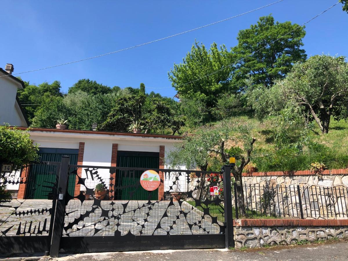 La Collina Di Albiro Affittacamere Arcola Dış mekan fotoğraf