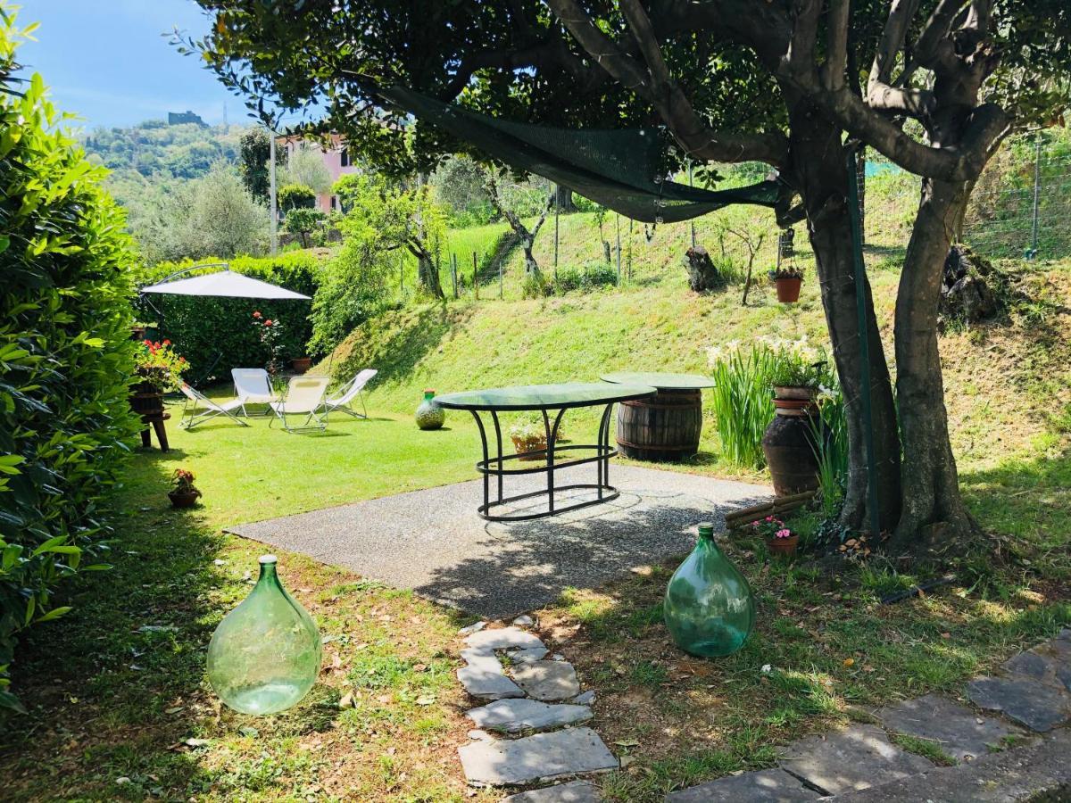 La Collina Di Albiro Affittacamere Arcola Dış mekan fotoğraf